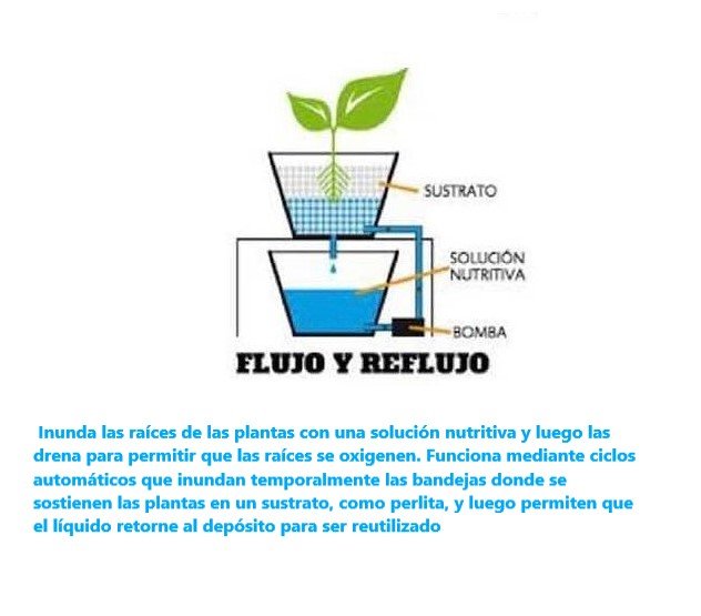 Esquema de un Sistema Hidropónico de Flujo y Reflujo o Ebb and Flow o Flood and Drain o Inundación y Drenaje