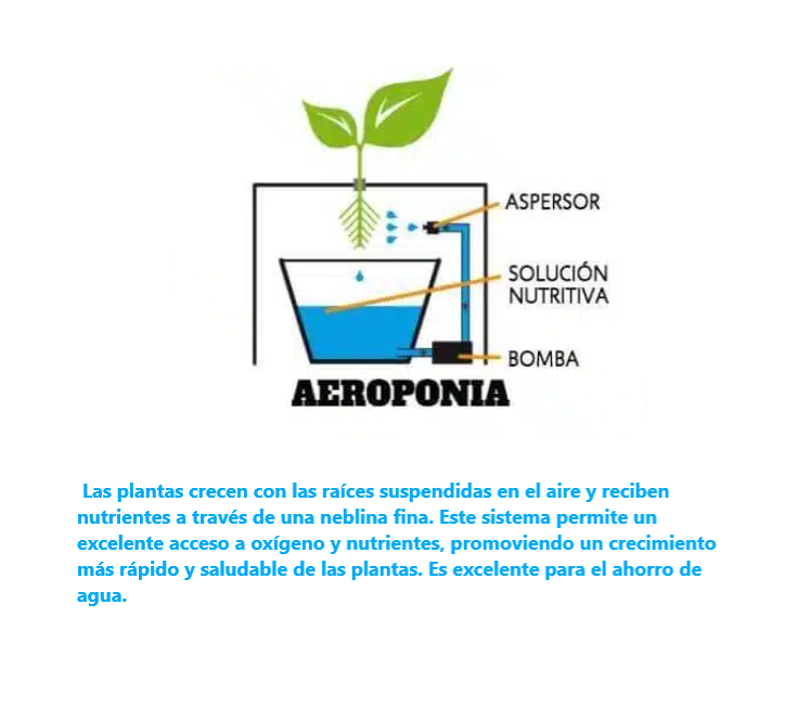 Sistema Hidroopónico de  Aeroponía