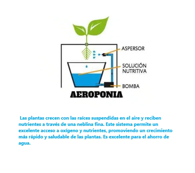 Sistema-hidroponico-Aeroponia-1 Sistema Hidroopónico de Aeroponía