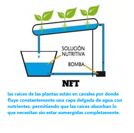 Esquema de Sistema Hidropónico NFT 