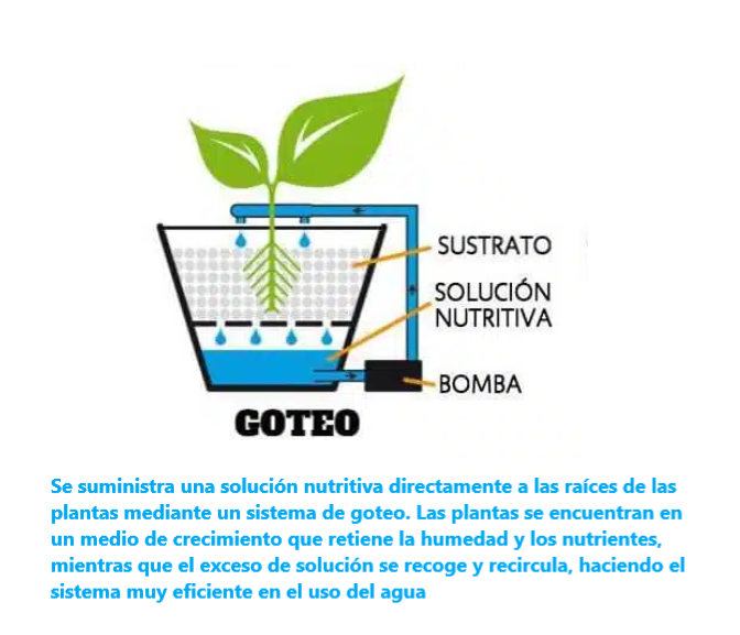 Esquema de un Sistema hidropónico de Goteo o Drip System