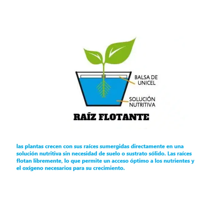 Sistema-hidroponico-raiz-flotante-1 Esquema de Sistema Hidropónico de Raíz Flotante o Ebb and Flow