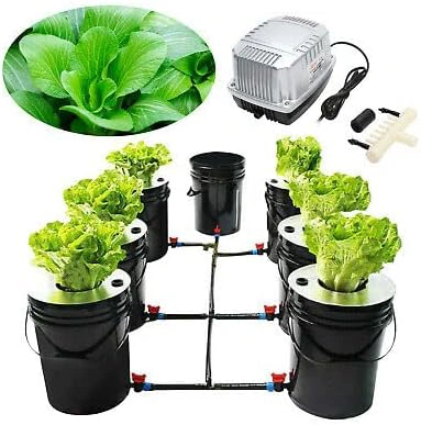 Deep Water Culture Bubbler ,  Kit de sistema  hidropónicode cultivo de 6 cubos para plantas completo + bomba y riego por de Goteo