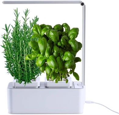 amzWOW Clizia Smart Garden. Huerto hidropónico de Interior muy fácil de usar. 