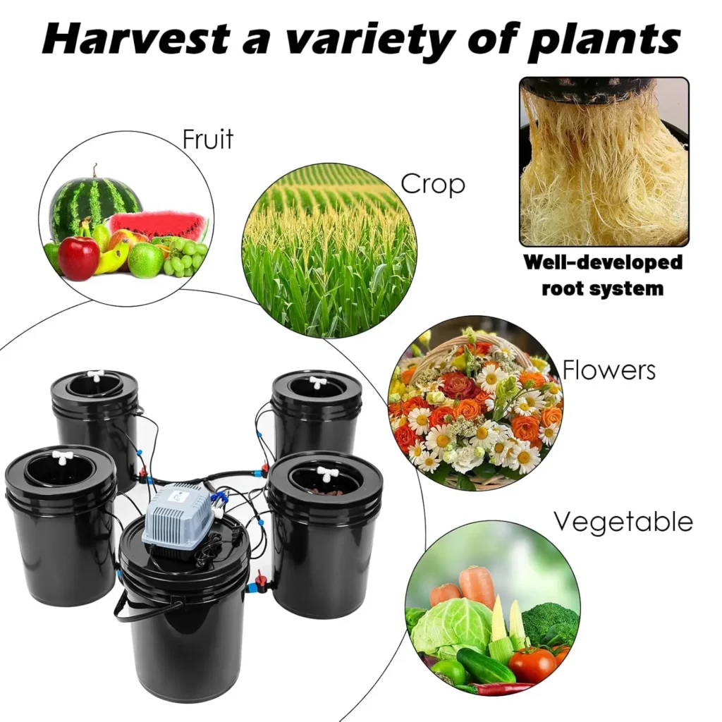 La Guía Completa y Definitiva del Sistema Hidropónico DWC WWahuayuan 🥬 5 Cosecha una gran variedad de frutas , verduras y flores con el Sistema Hidropónico de Raíz Flotante WWahuayuan . Desde Zanahorias, Coles, Sandías , Tomates hasta orquideas etc....