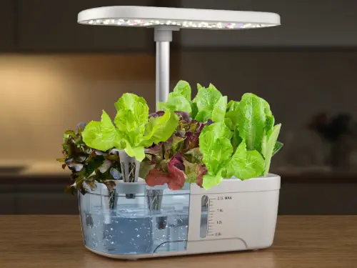 🏆 La Mejor Guía Definitiva del Smart Garden GOLUMUP 6 Plantas 🥬